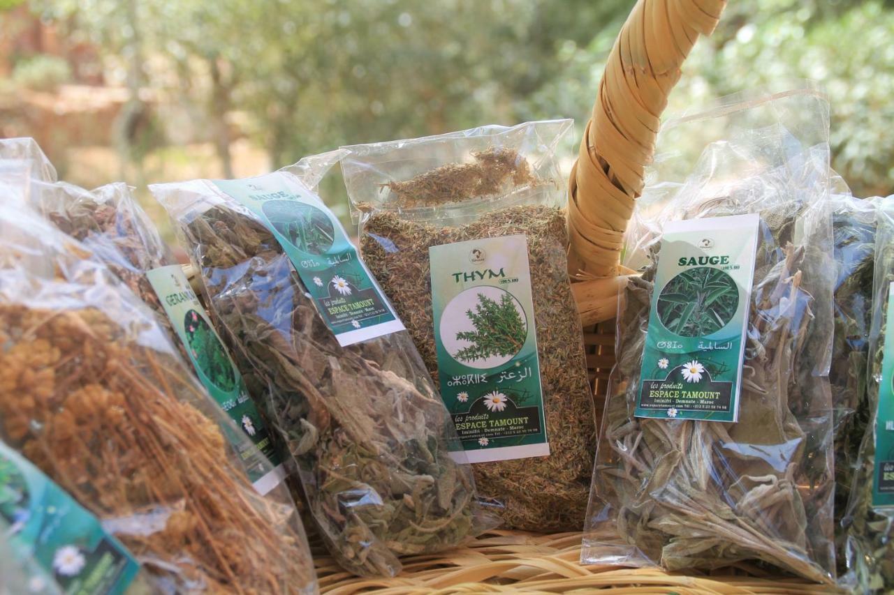 Ecolodge Espace Tamount Demnat Ngoại thất bức ảnh