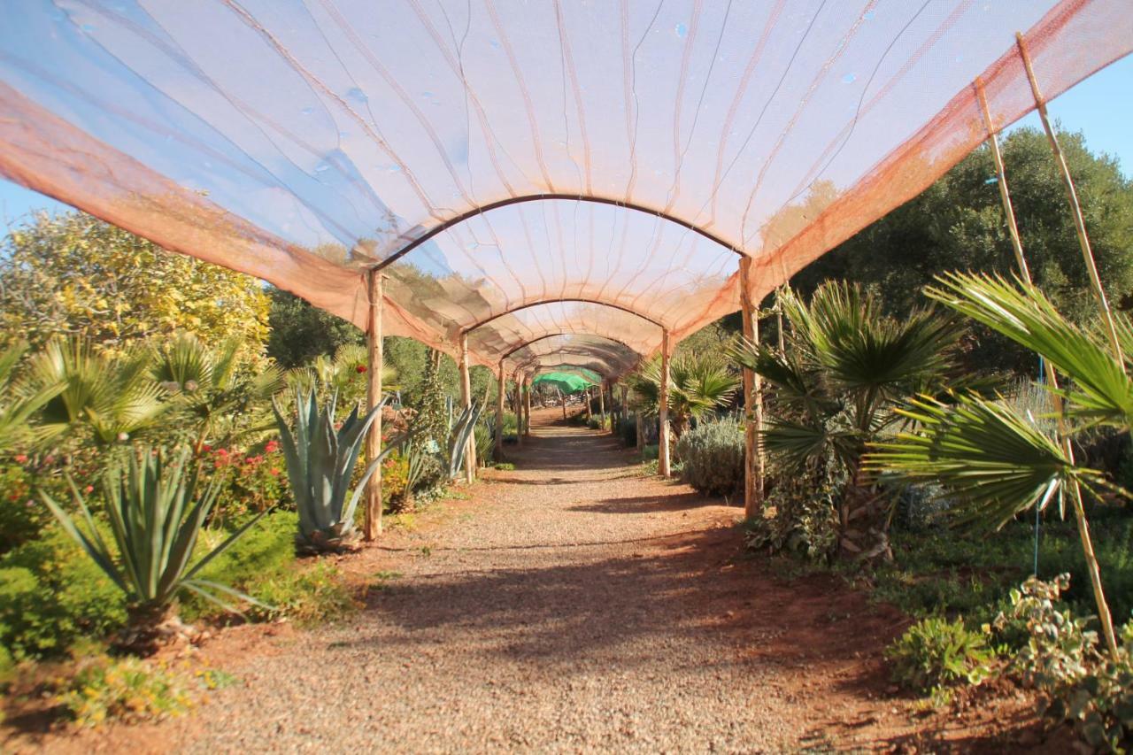 Ecolodge Espace Tamount Demnat Ngoại thất bức ảnh