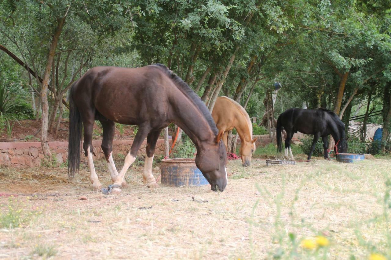 Ecolodge Espace Tamount Demnat Ngoại thất bức ảnh